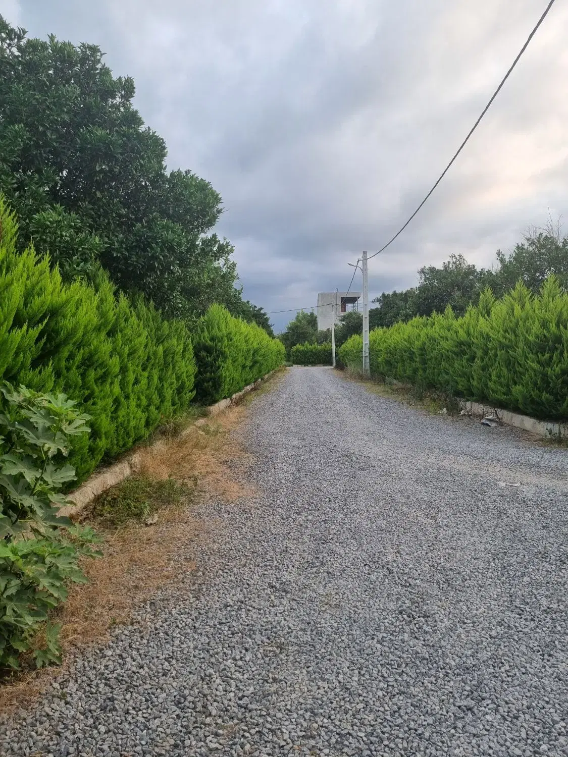 زمین کشاورزی و باغی