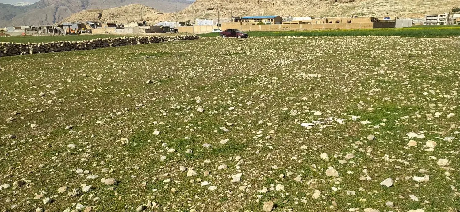 زمین در بردگپی