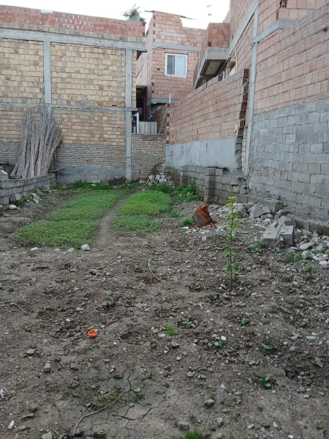 زمین