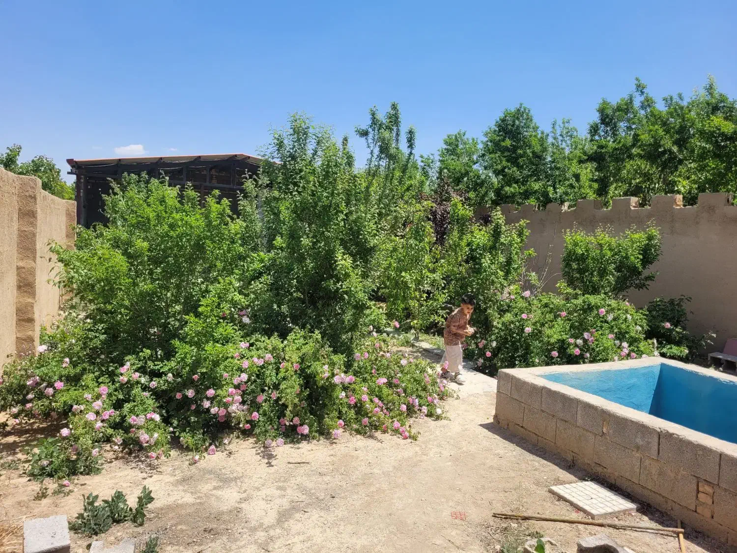 باغ در باغ شهر کوشک