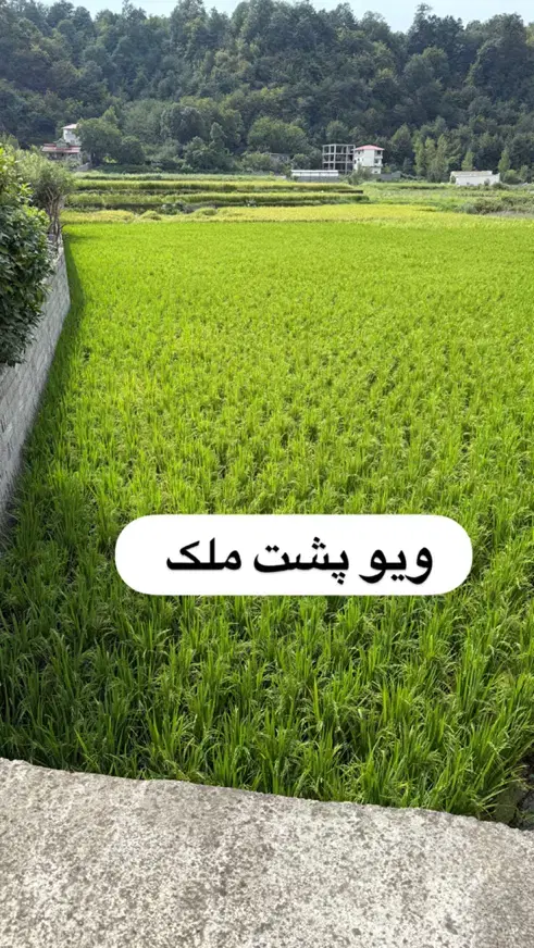 ویلا باغ 1150 متری در جاده هراز نزدیک تهران