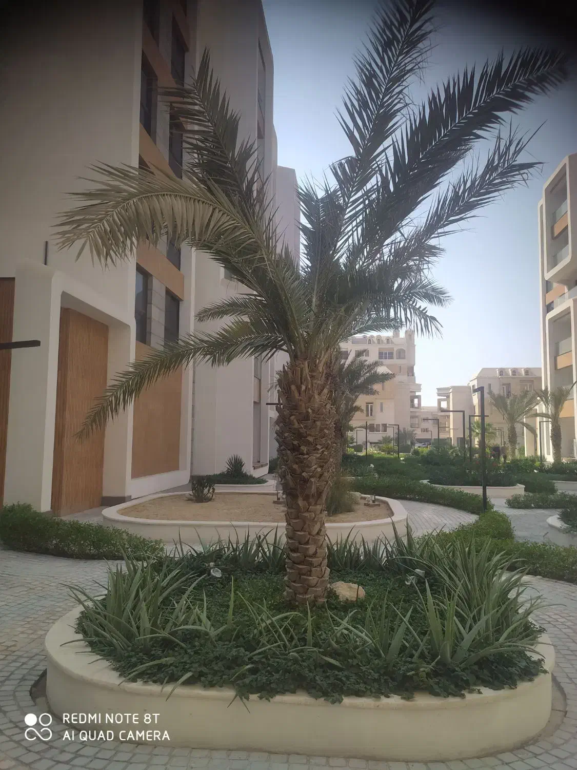 واحد تک خواب