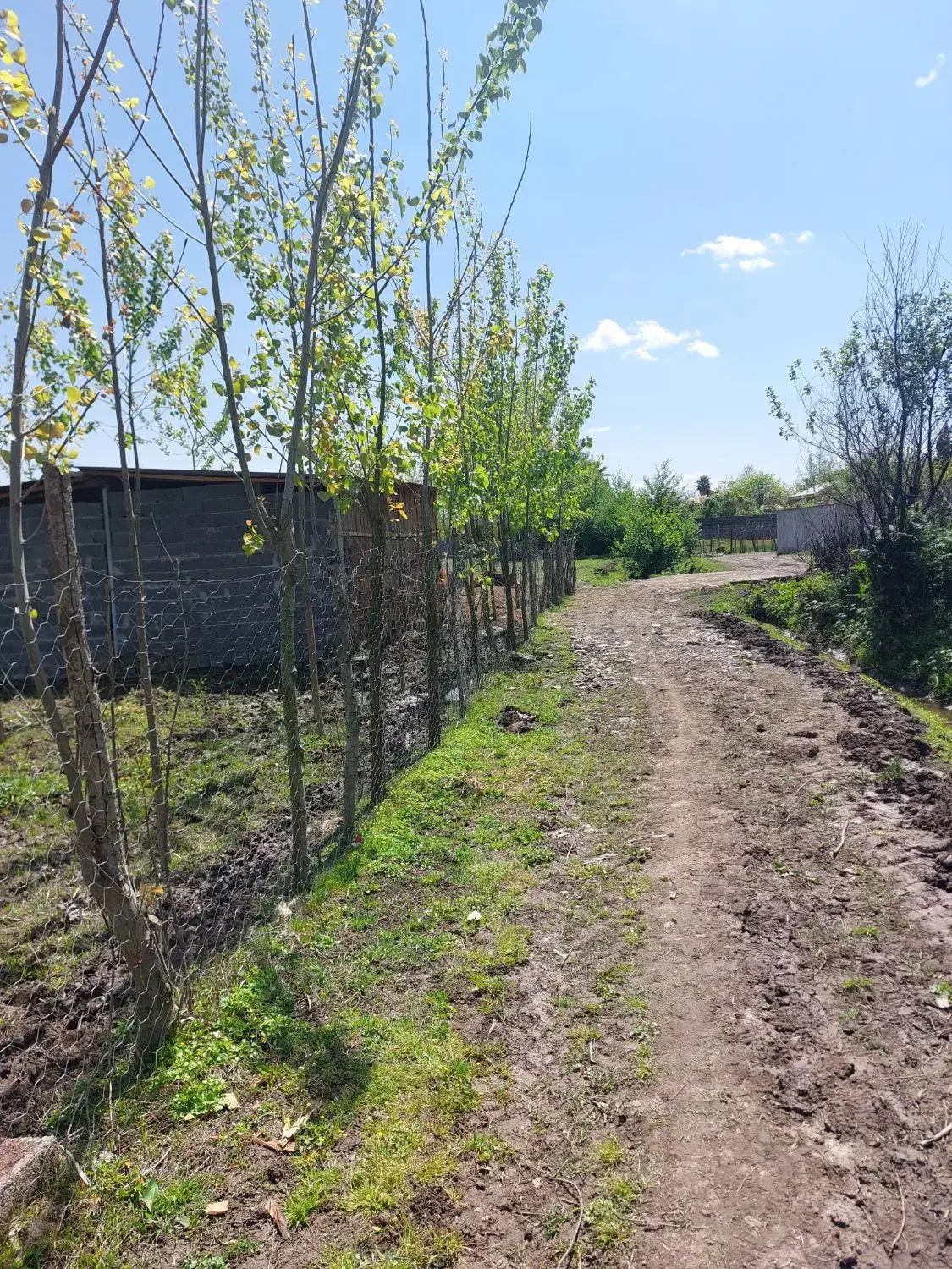 زمین ۴۰متری ویلاها در ۳کیلومتری دریا شکل باغی