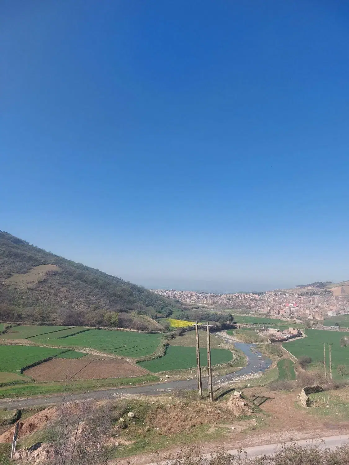 زمین باغی