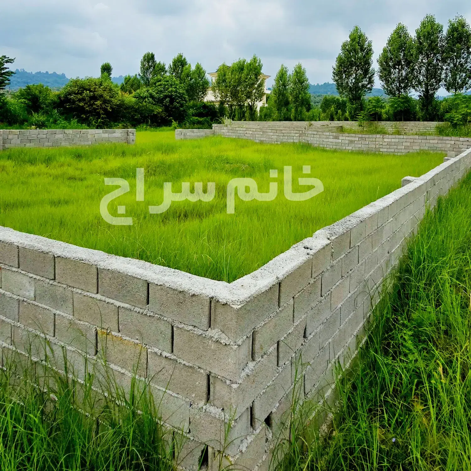 لب آسفالت(زمین مستقل ۳۵۰ متری) جنگلی