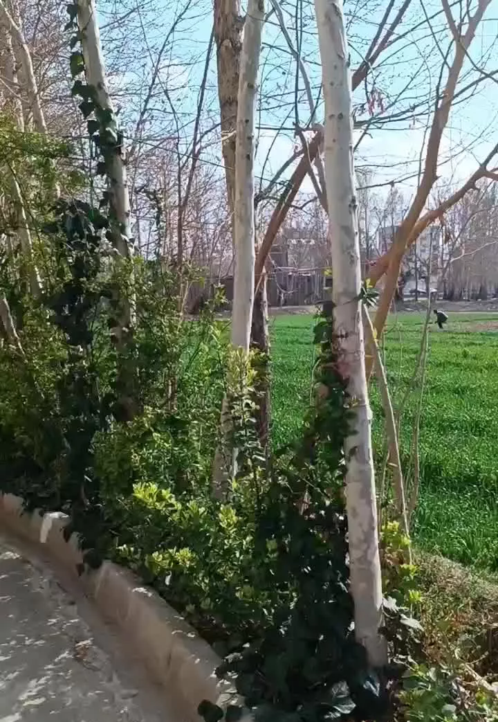 اجاره مسکونی در محیط سرسبز و آرام با موقعیت عالی