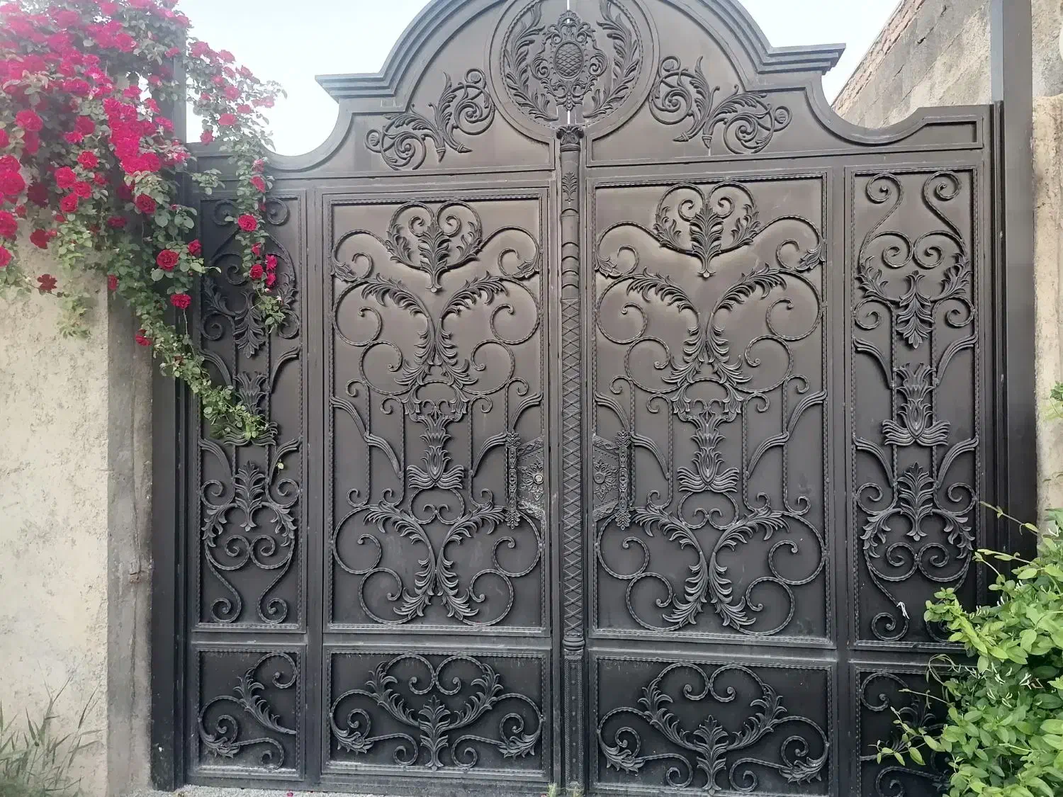 باغچه 260 متری