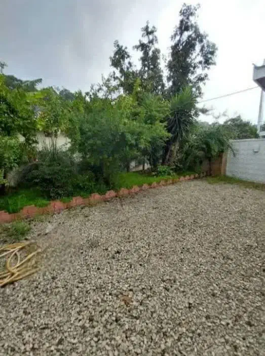 زمین با کاربری مسکونی چالوس