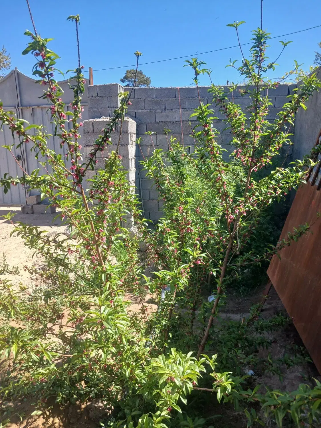 فروش خانه ویلایی