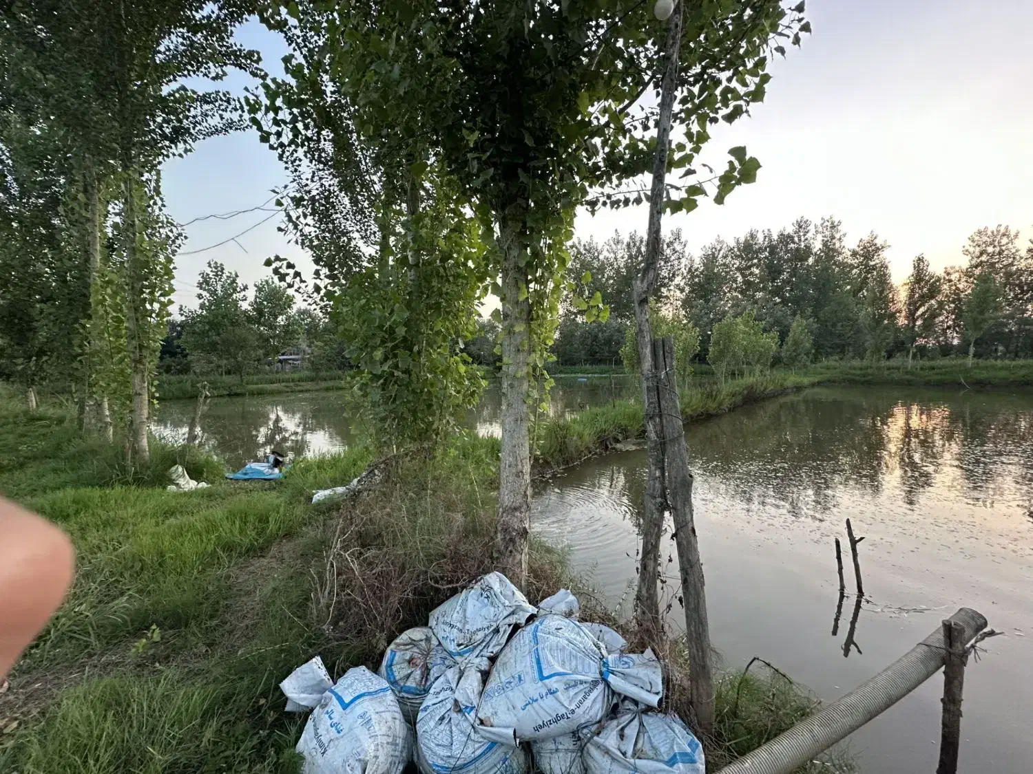 استخر پرورش ماهی گرمابی فعال