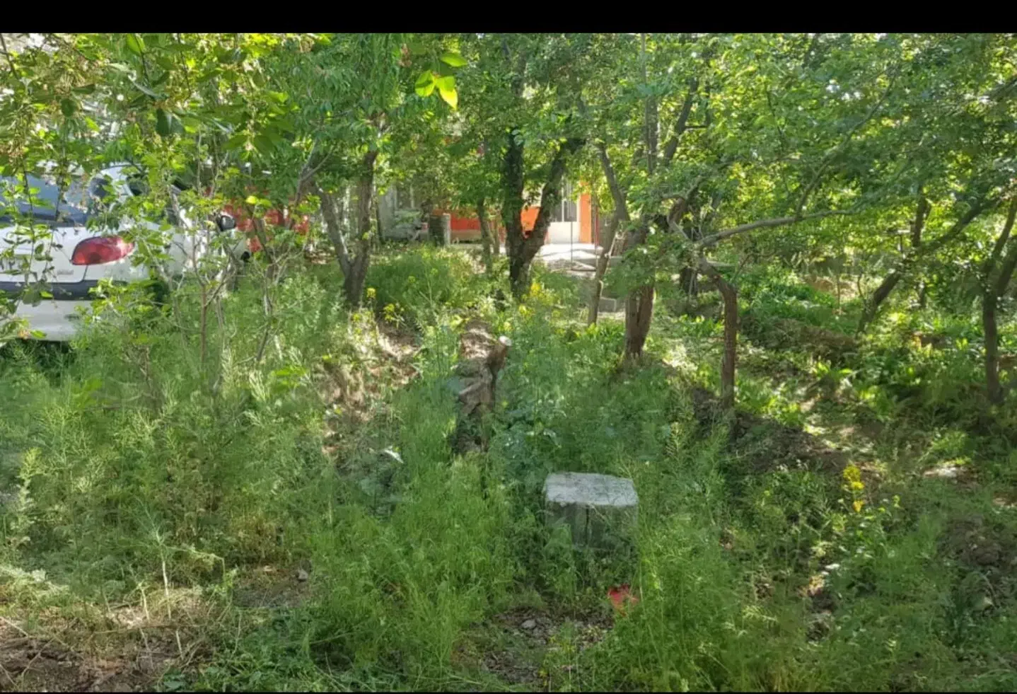 باغ ویلا باغچه جاده چالوس روستای کندر تهاتر