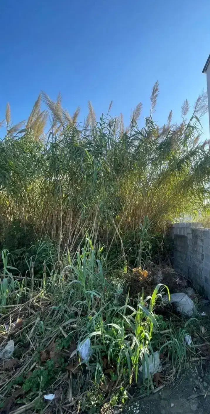زمین مسکونی