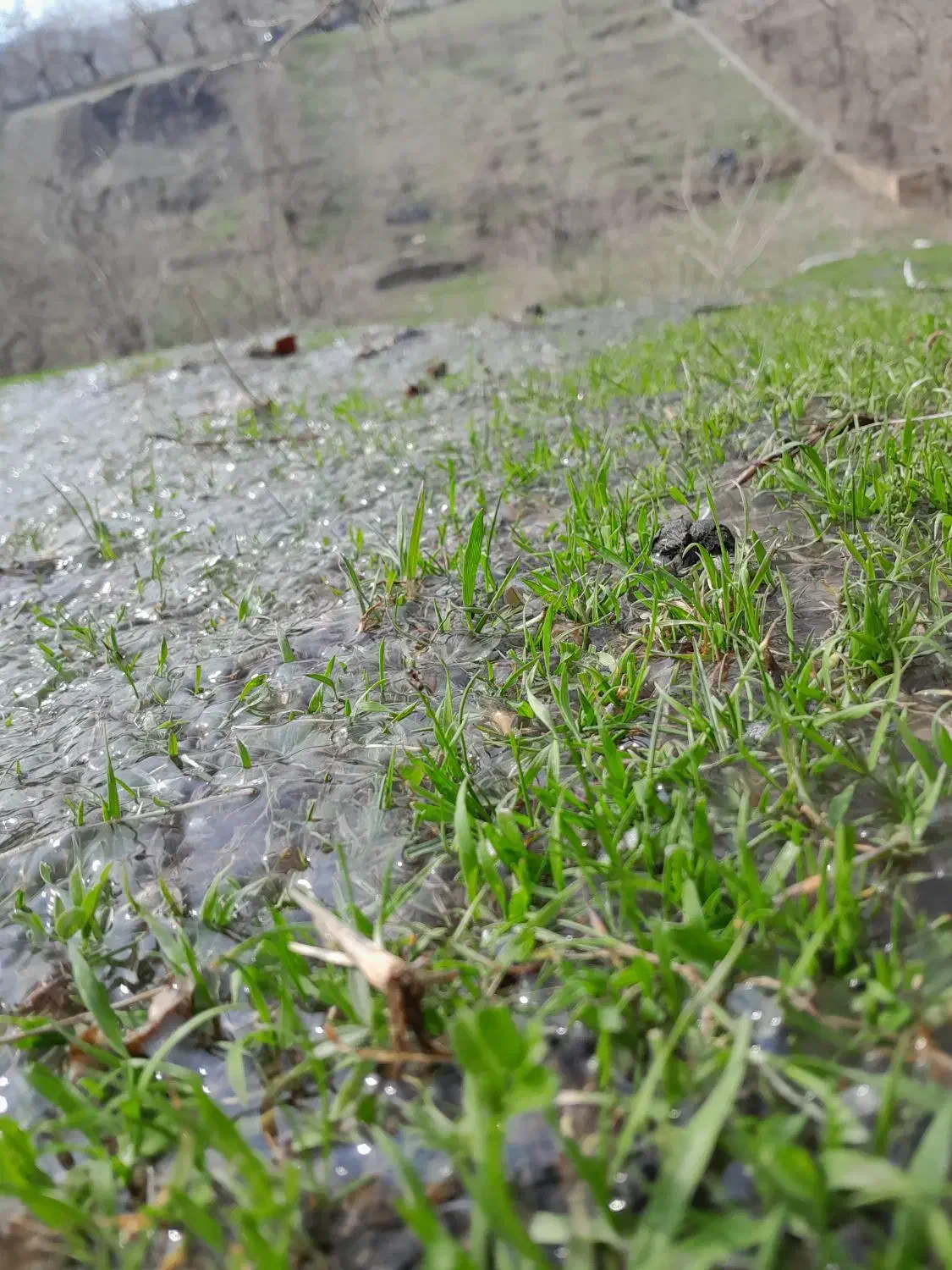 زمین ۵۰ متری