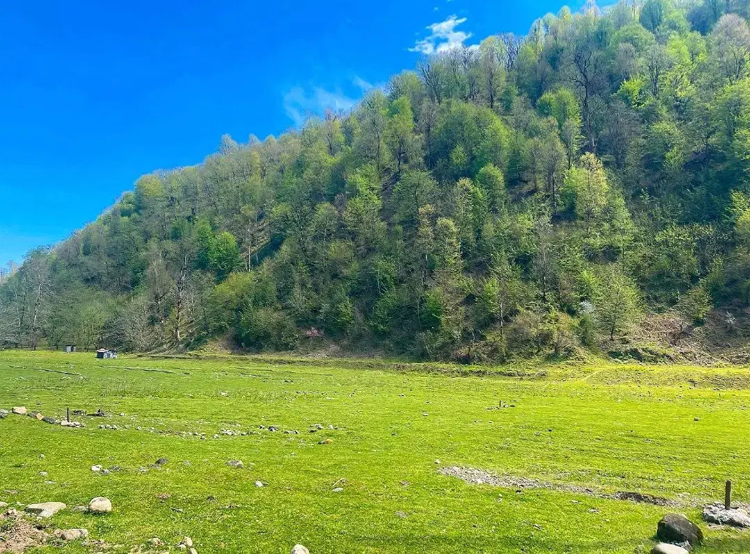 اجاره کلبه سوئیسی  در ماسال