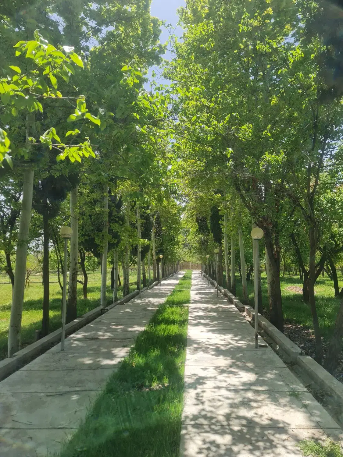 فروش چهار قطعه باغ با موقعیت عالی