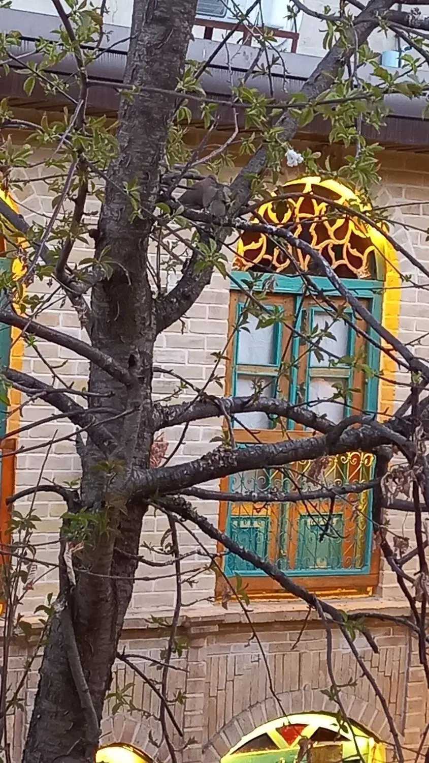 اقامتگاه بومگردی مرکز شهر همدان