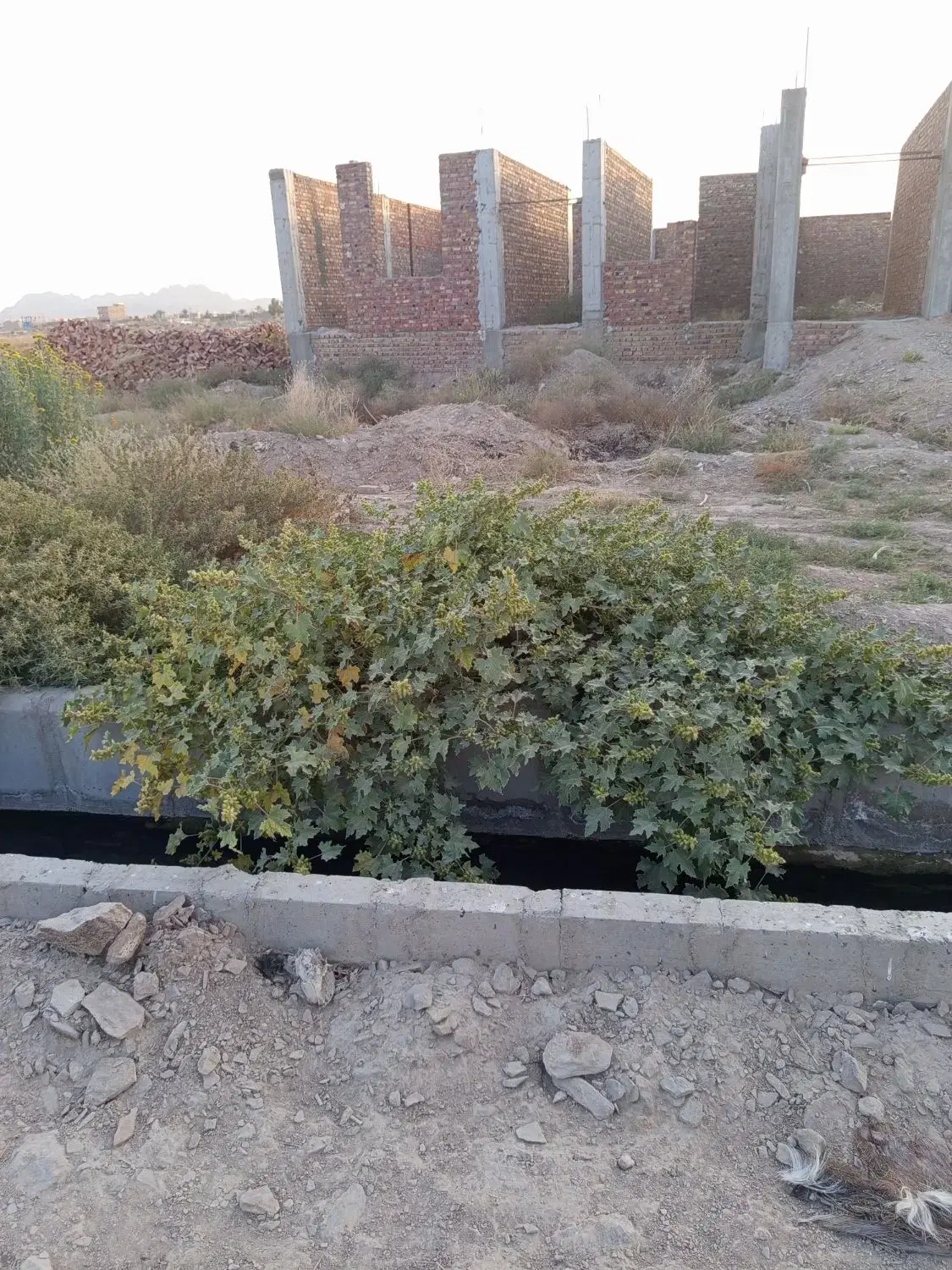 منزل شناسی تا زیر سقف