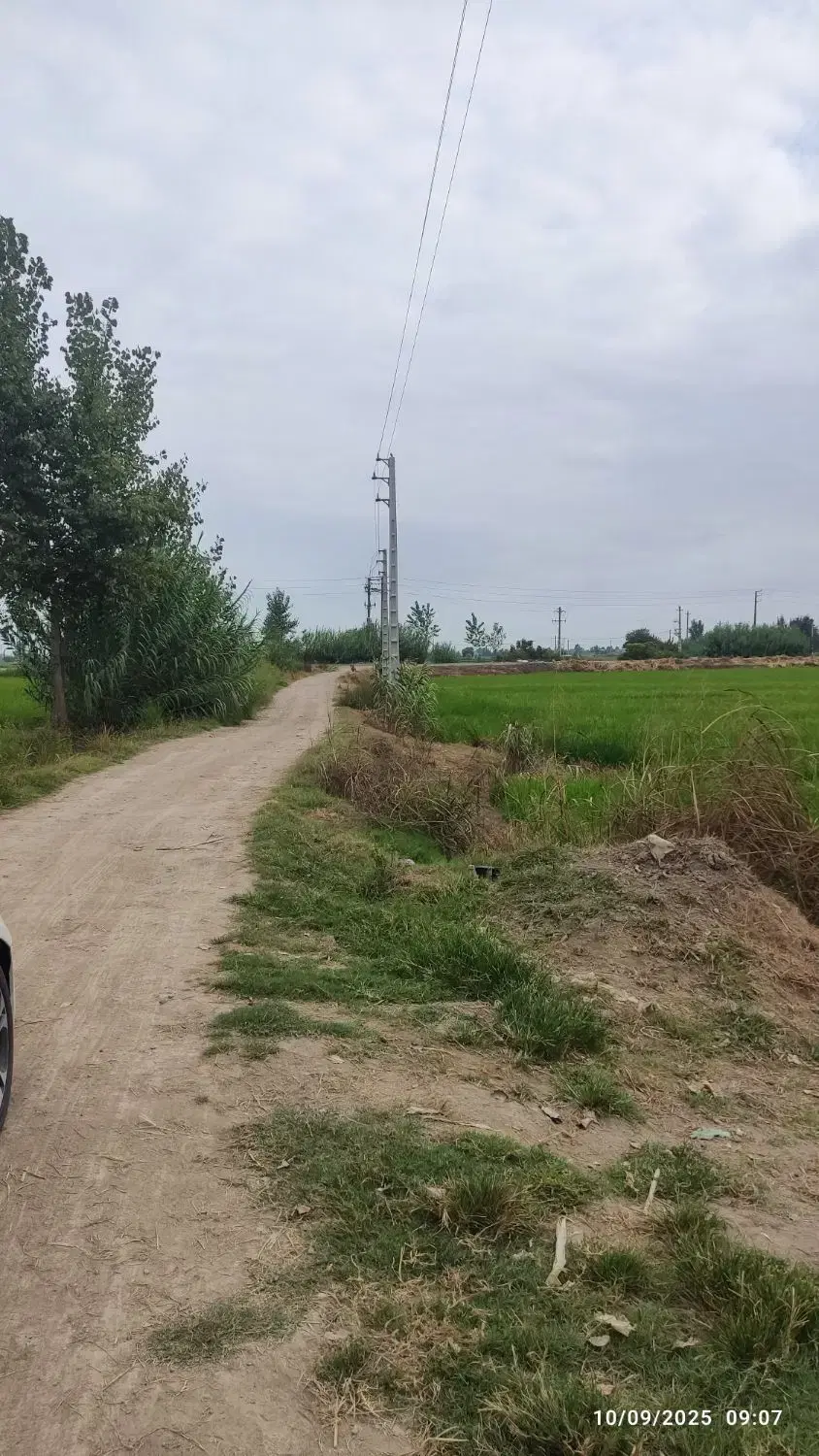 زمین کشاورزی دابودشت مازندران حقابه برق