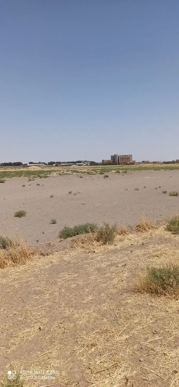 زمین کشاورزی
