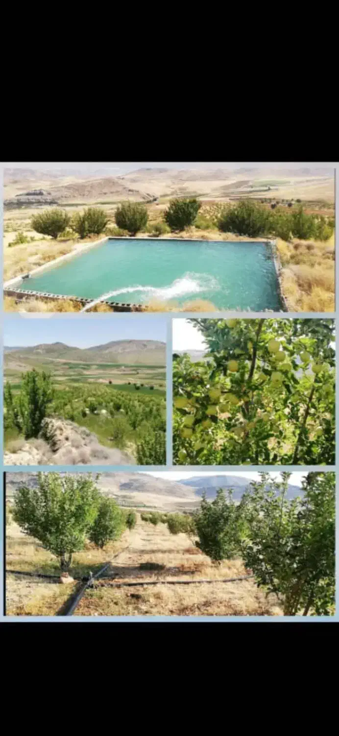 فروش‌ باغ سپیدان