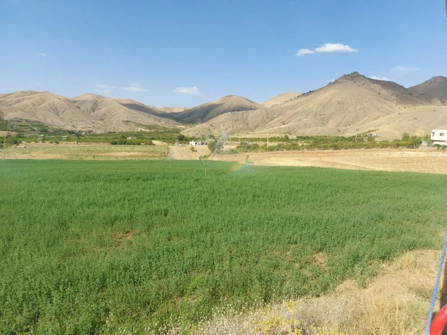 زمین کشاورزی ۲۴۰۰۰متر مربع
