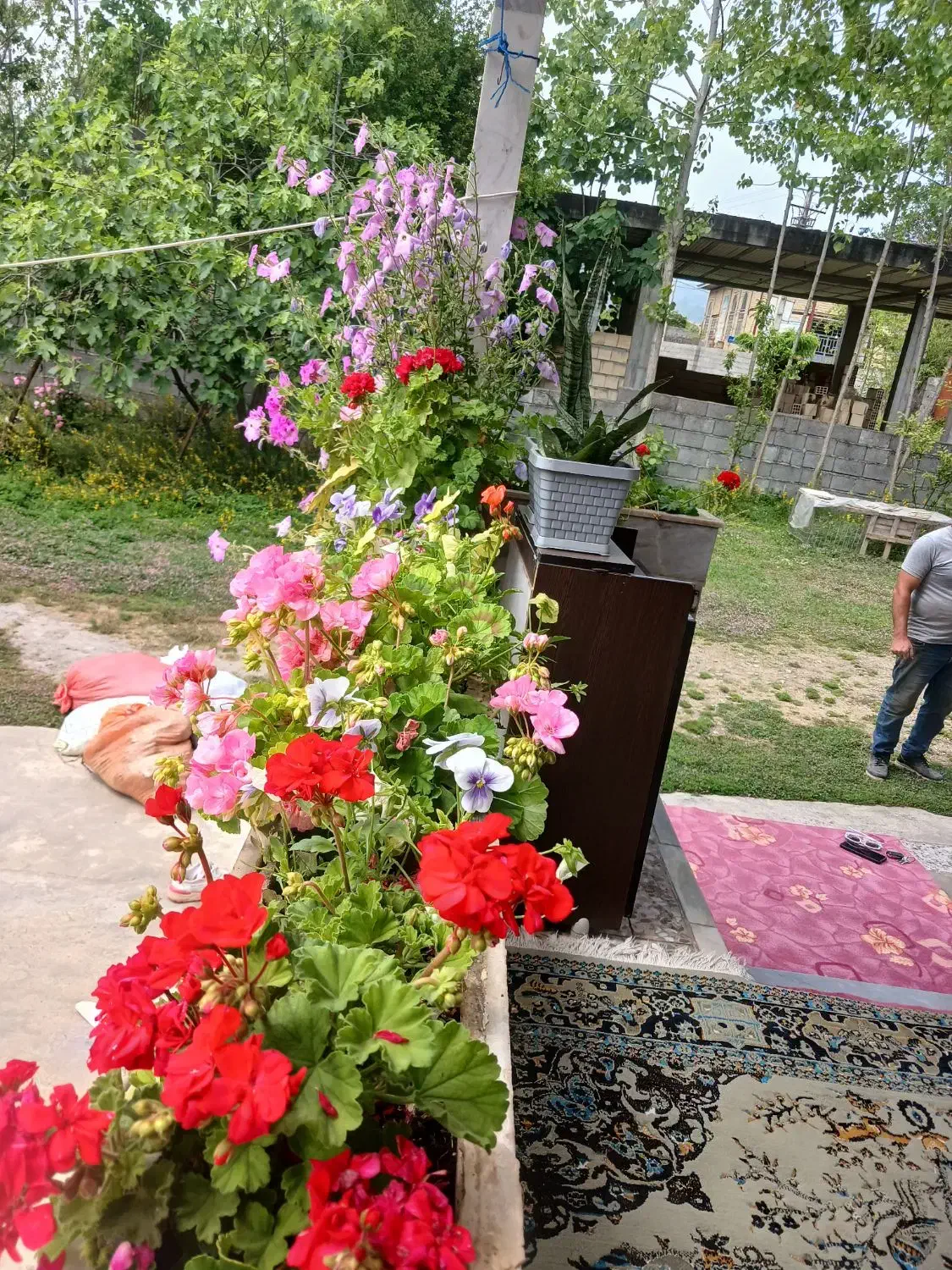 فروش  ویلا  باغ ۱۱۰۰ متری  سند تکبرگ