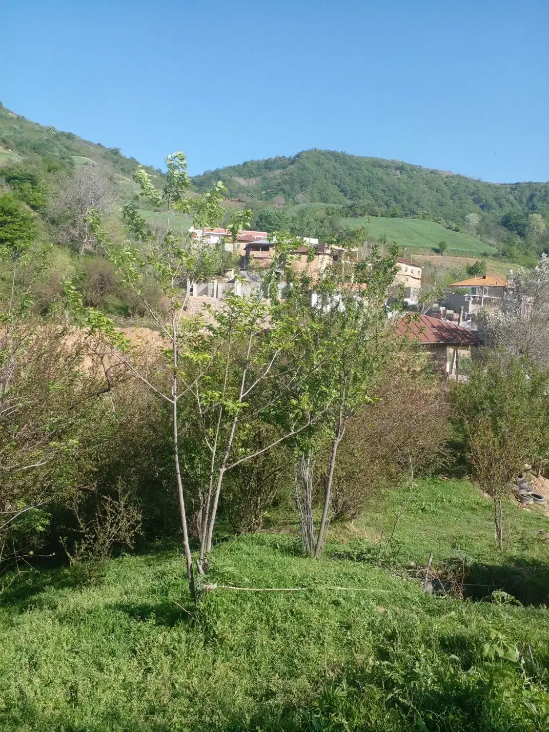 زمین مسکونی واقع در روستا ملاشی