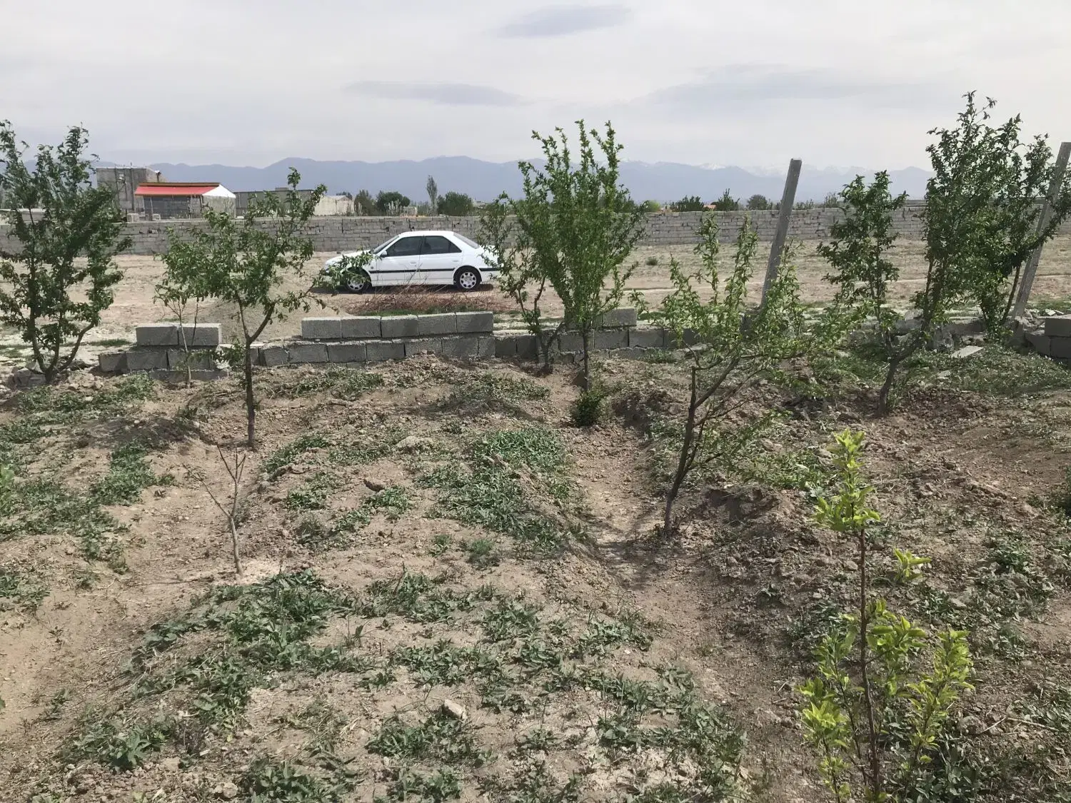 باغچه ۵۰۰ متری _ هشتگرد ، روستای انبارتپه