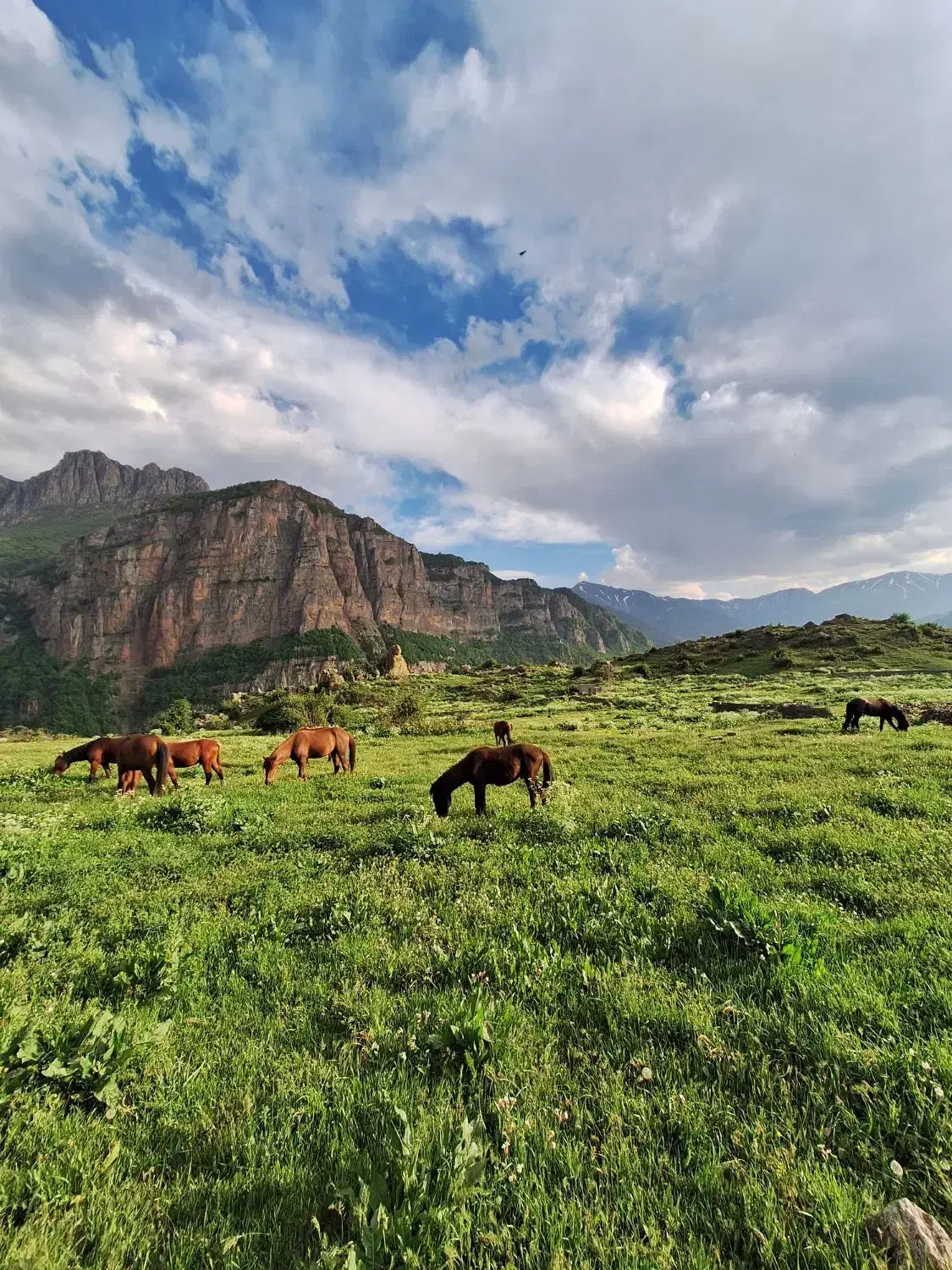 فروش زمین مسکونی