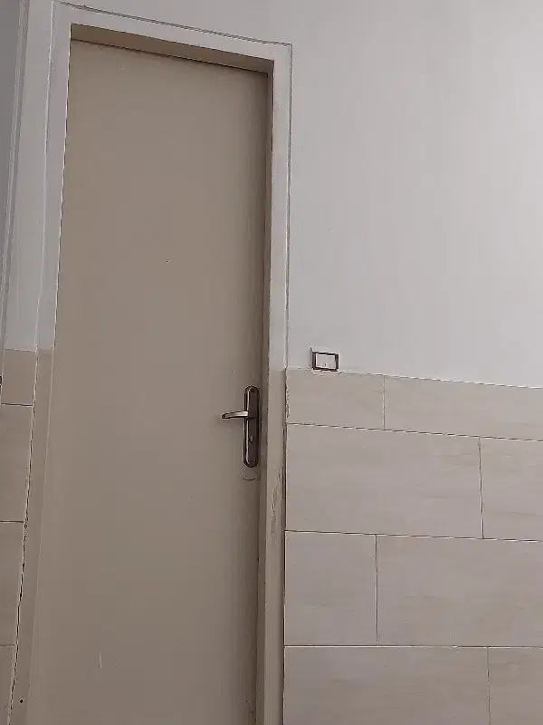 همخانه خانم