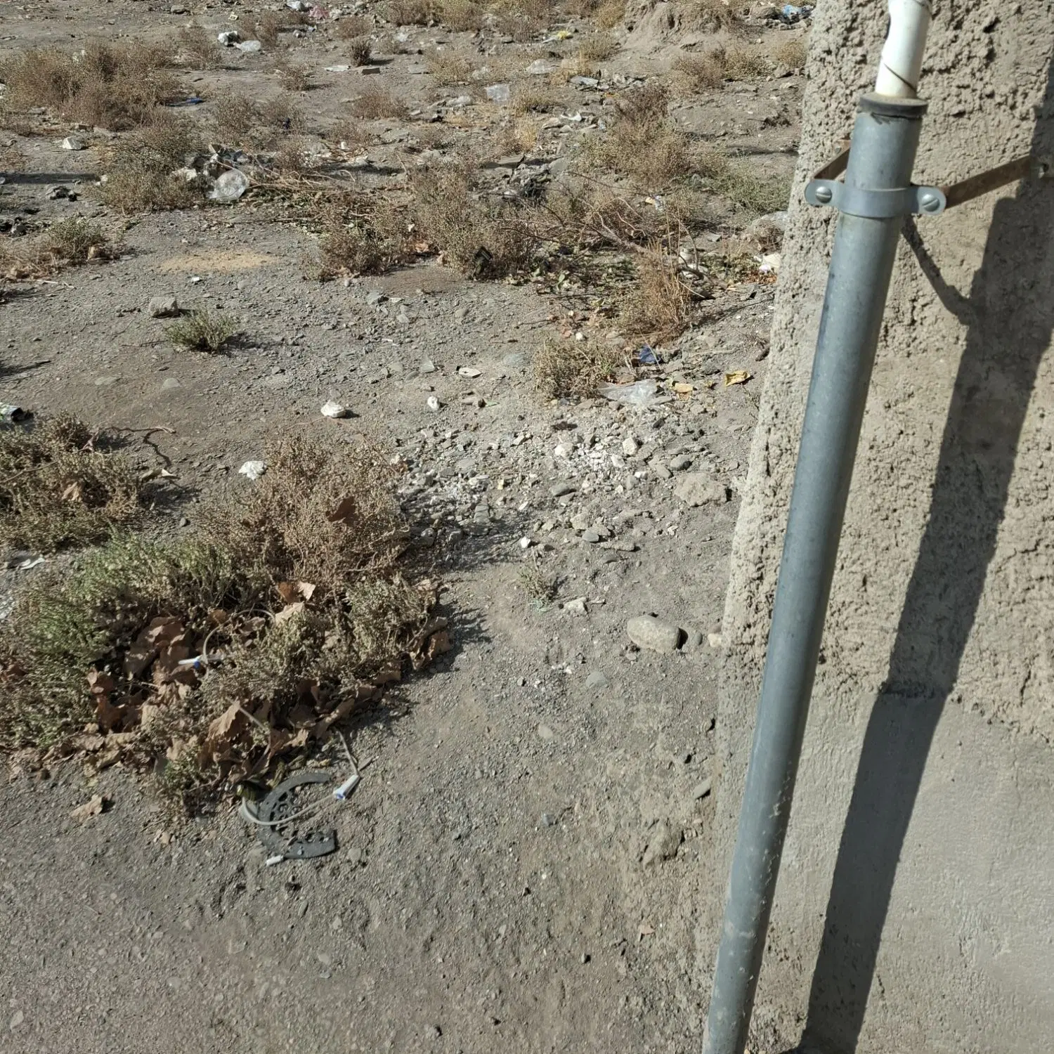زمین آینده دار