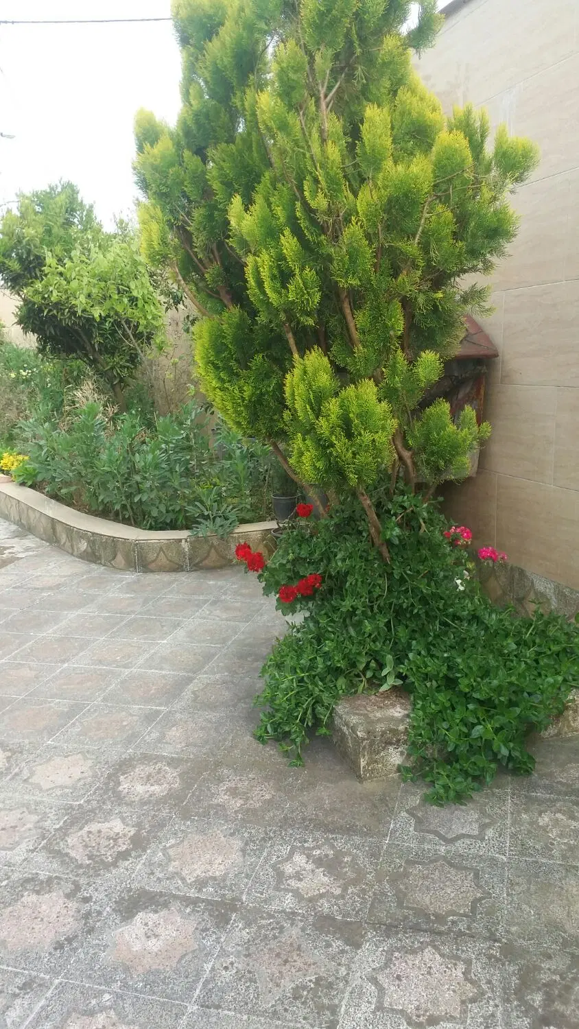 ویلا بر آسفالت دارای سند تک برگ میباشد .