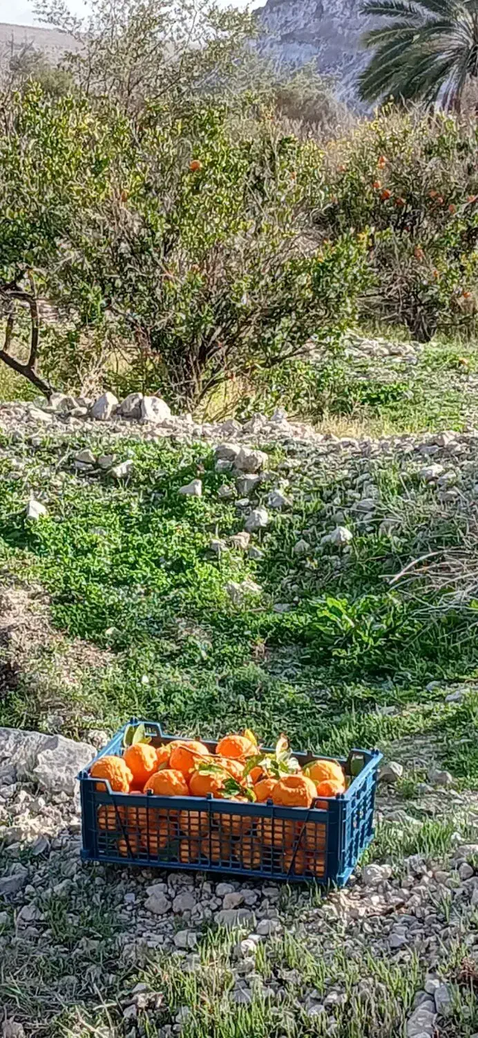 خانه دو خوابه با آب وبرق روستا خوش آب وهوا سیاهو