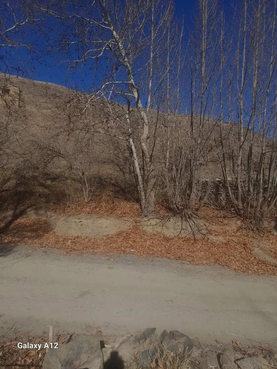 زمین باغی