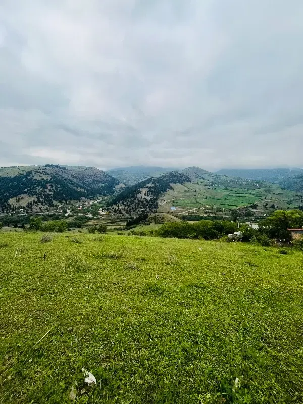 زمین مسکونی ویوابدی(سندتک‌برگ)