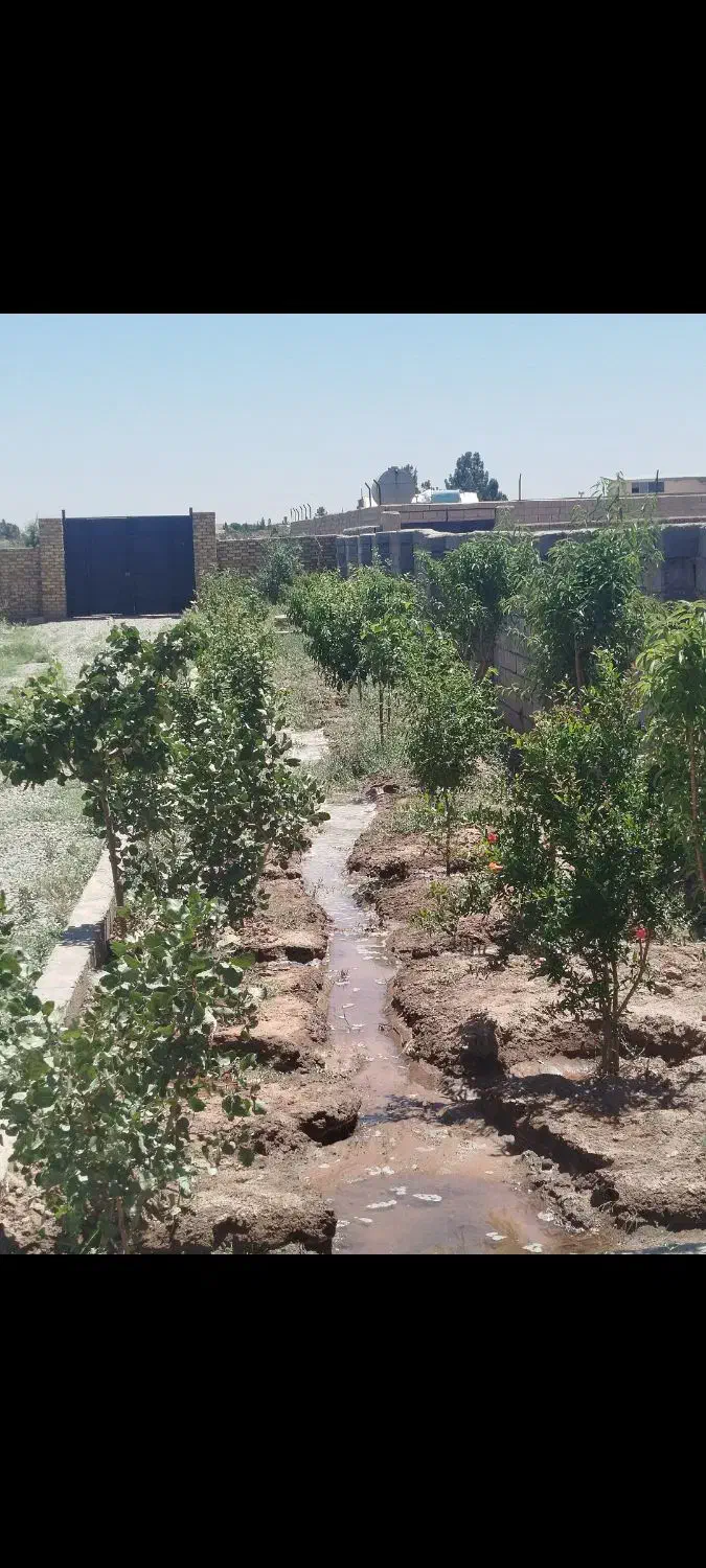 باغچه ۶۶۰ متری