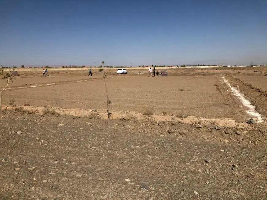زمین باغی