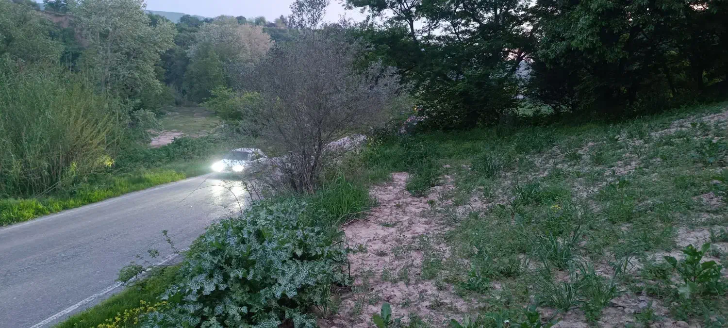 زمین باغی لب جاده اصلی آسفالت