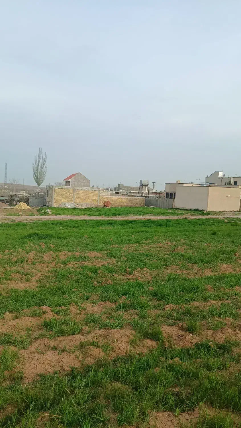 زمین مسکونی