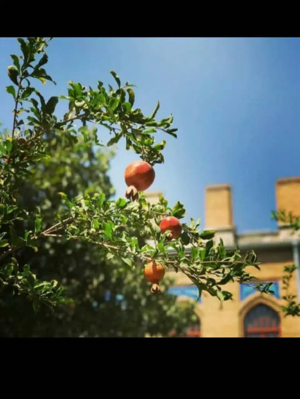 ۱۲۰ متر ۲ خوابه میرزای شیرازی