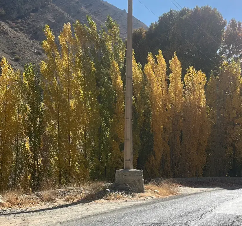 باغ چهاردیواری سند دار شهرکی