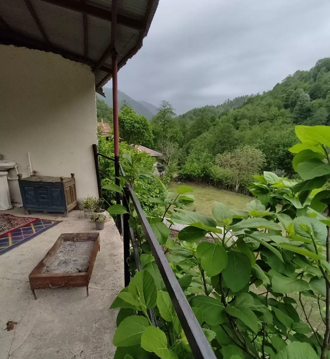 اجاره ویلا جنگلی بلوردکان فقط ۵۰۰
