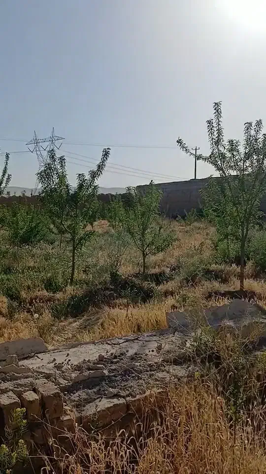 زمین کشاورزی