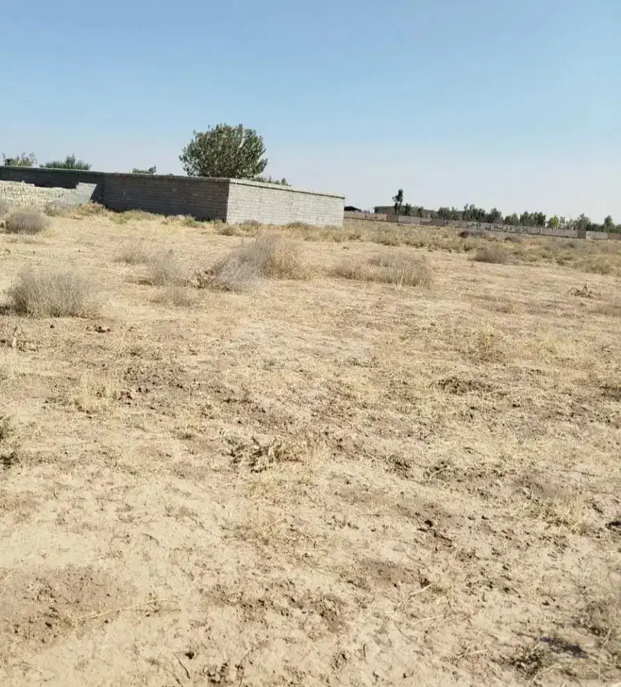 زمین مسکونی