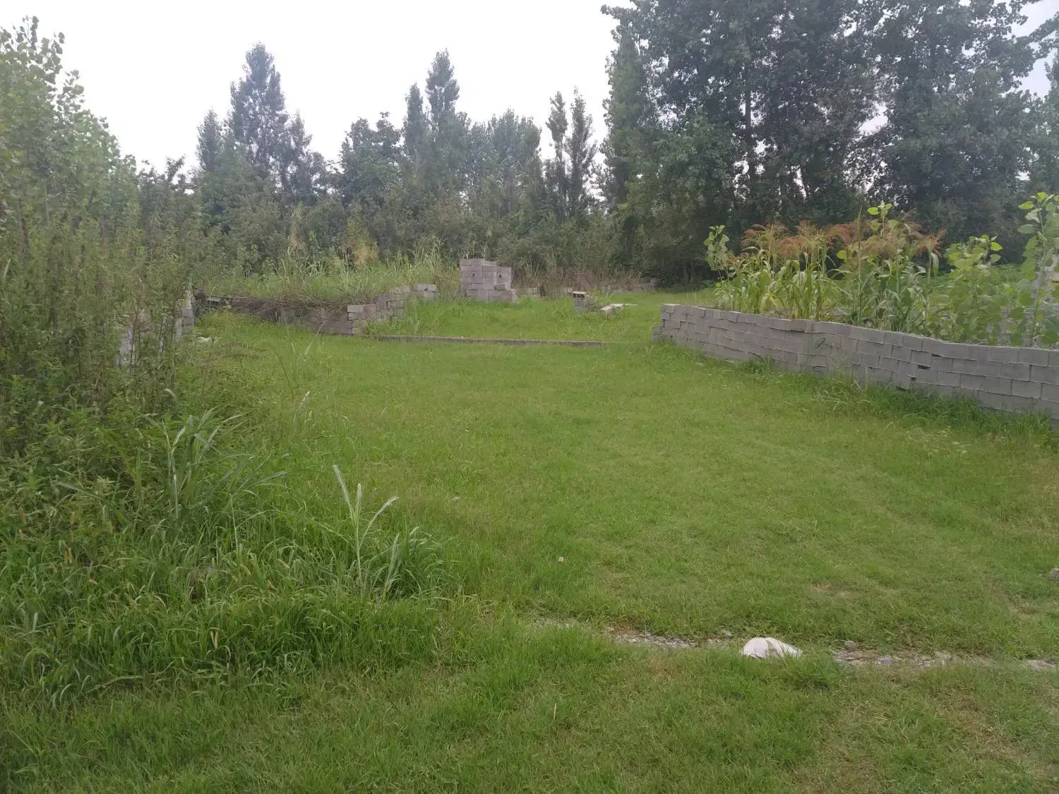 فروش زمین