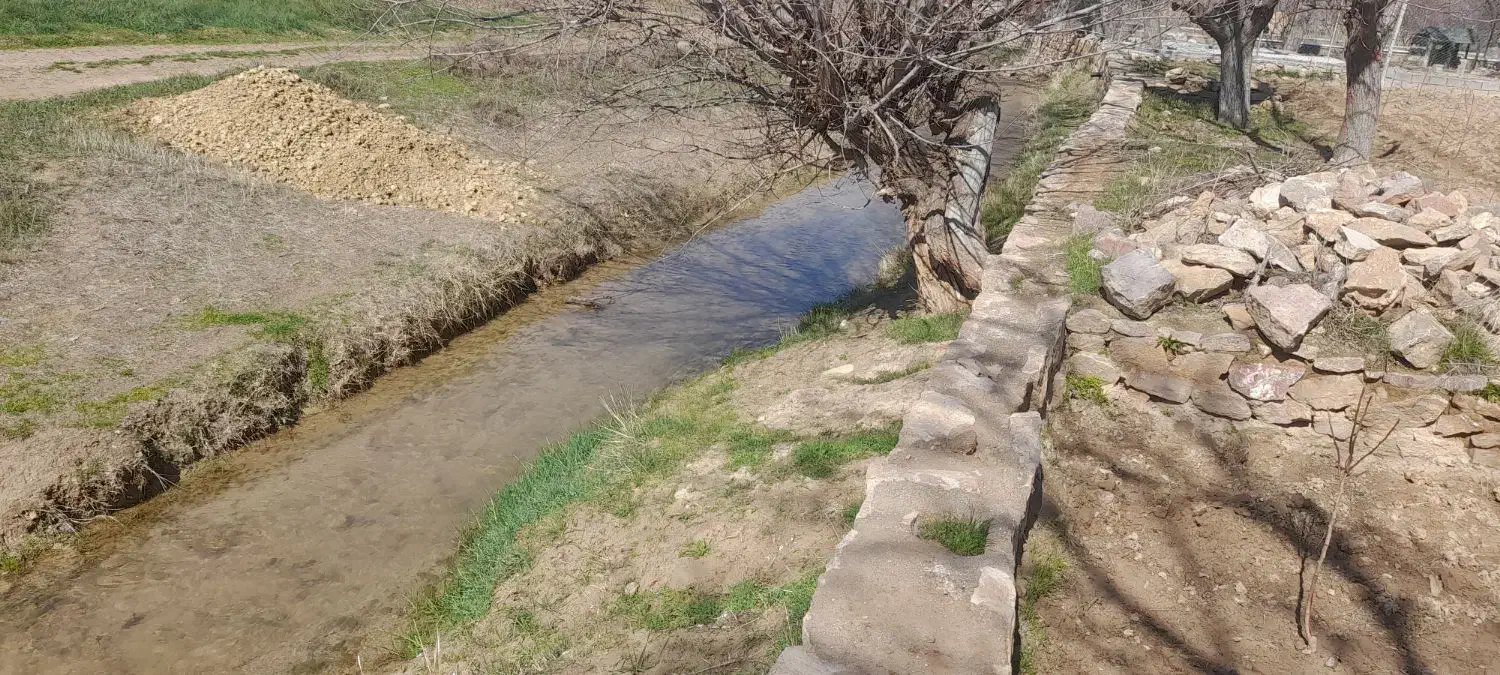باغ چهارخروار انواع نهال میوه