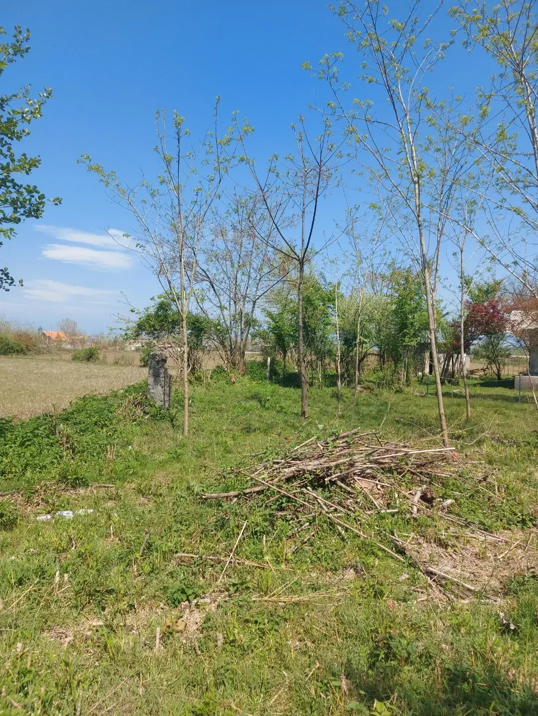 فروش زمین با پروانه ساخت فشتکه اول