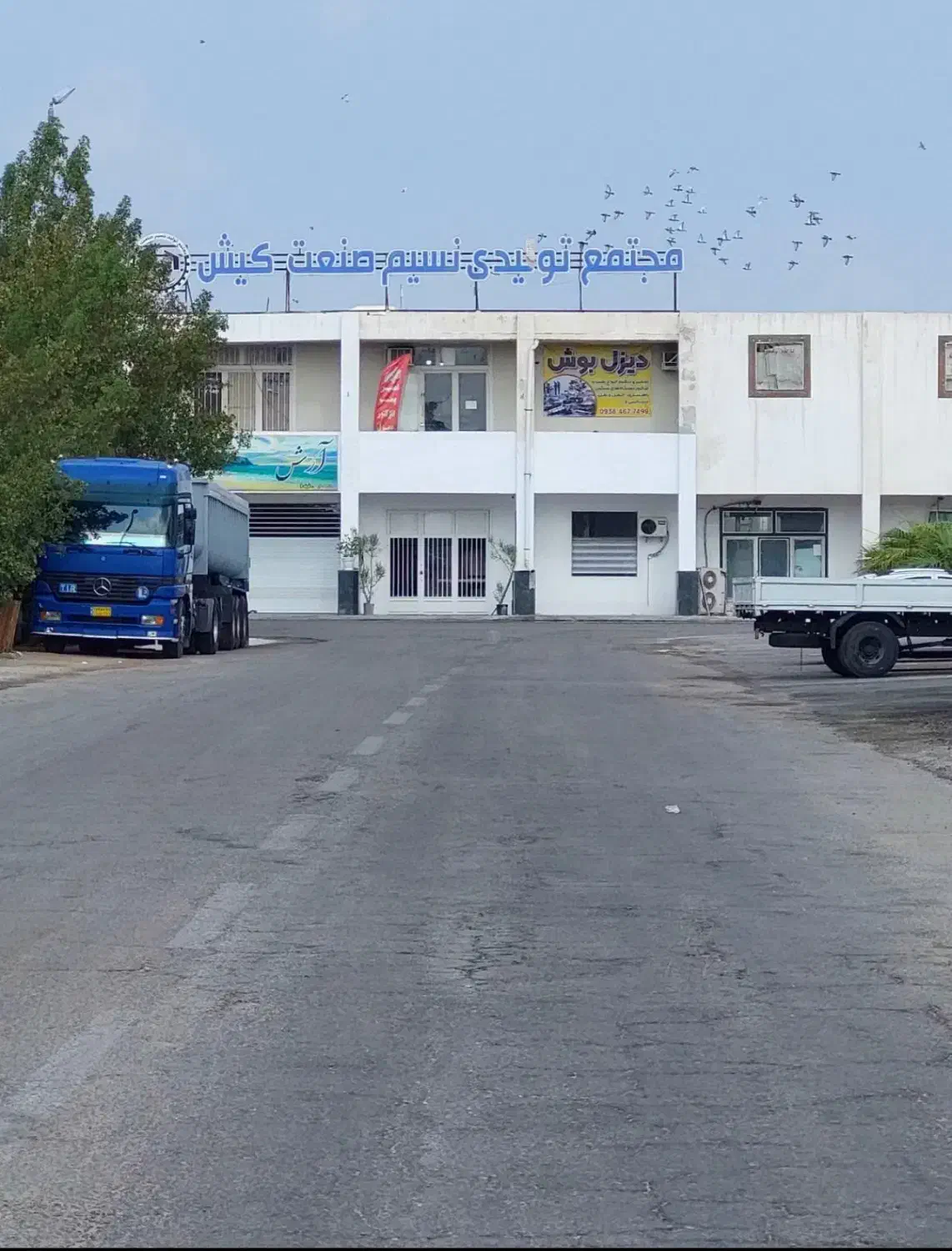 غرفه همکف ، درخت سبز