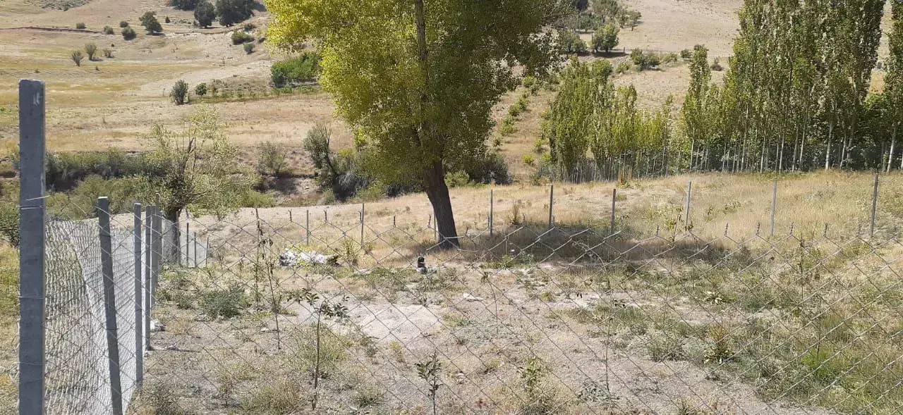 زمین باغی