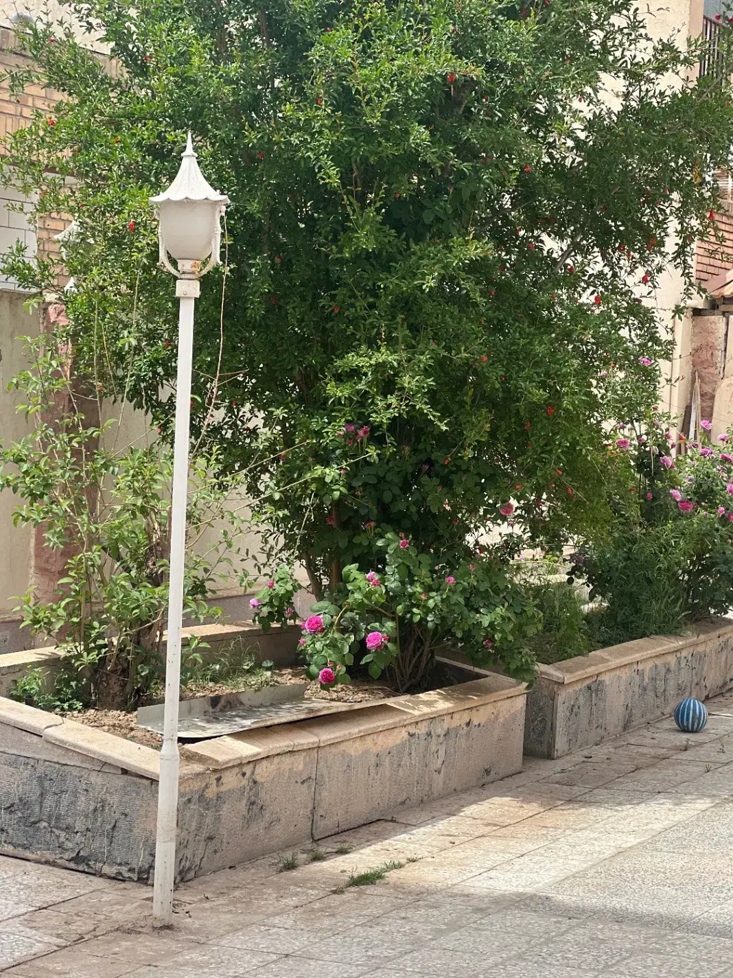 زمین تجاری